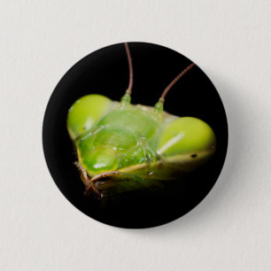 Badge Rond 5 Cm Portrait de mante en prière