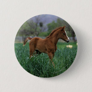 Badge Rond 5 Cm Position arabe de poulain