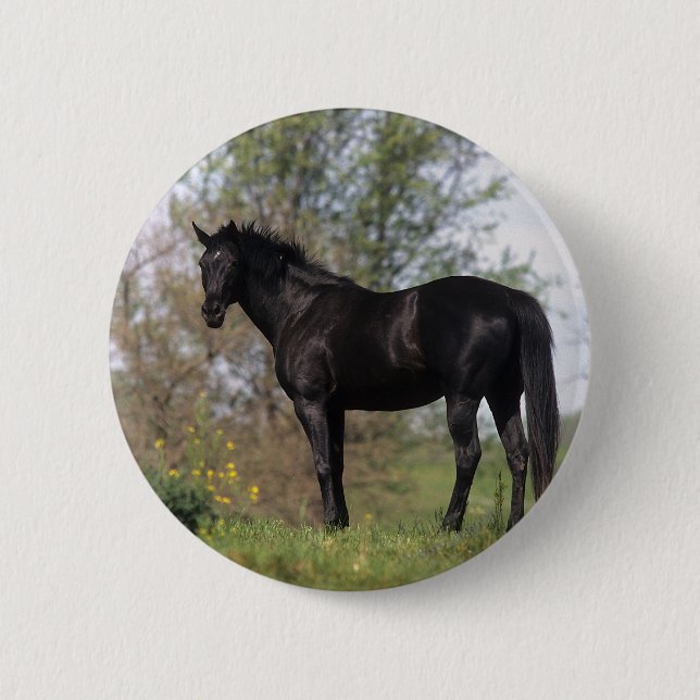 Badge Rond 5 Cm Position de cheval de pur sang (Devant)
