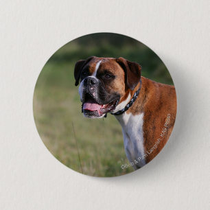 Badge Rond 5 Cm Position de chien de boxeur