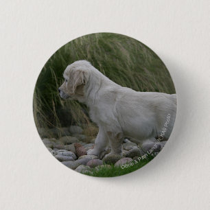 Badge Rond 5 Cm Position de chiot de golden retriever