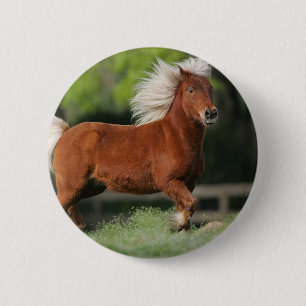 Badge Rond 5 Cm Position miniature de cheval