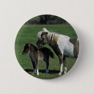 Badge Rond 5 Cm Position miniature de jument et de poulain
