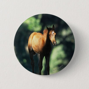 Badge Rond 5 Cm Poulain arabe dans les arbres