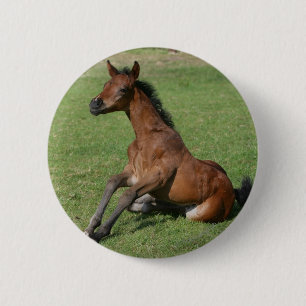 Badge Rond 5 Cm Poulain arabe se reposant