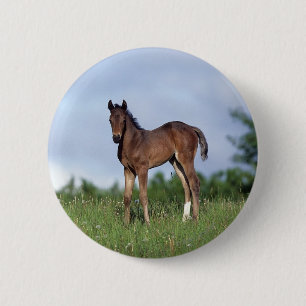 Badge Rond 5 Cm Poulain de pur sang se tenant dans l'herbe