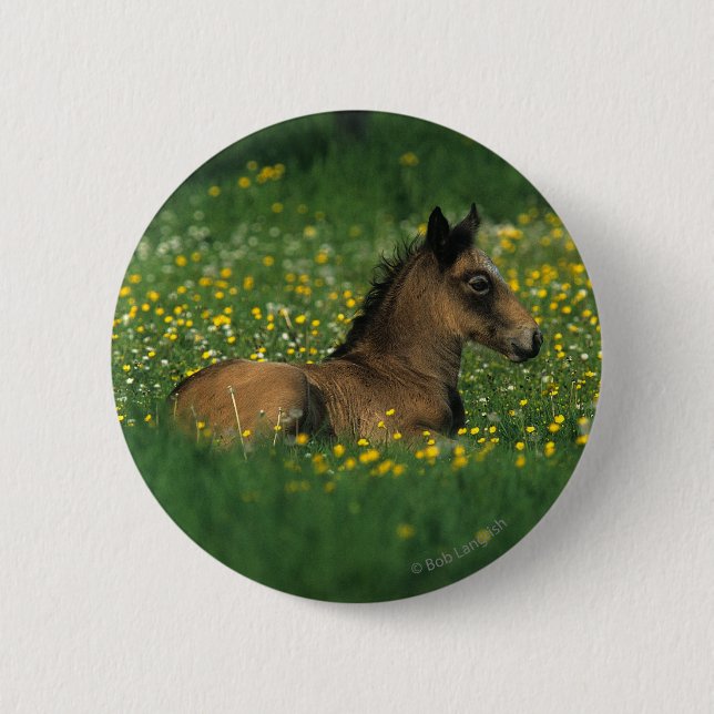 Badge Rond 5 Cm Poulain fixant en fleurs (Devant)