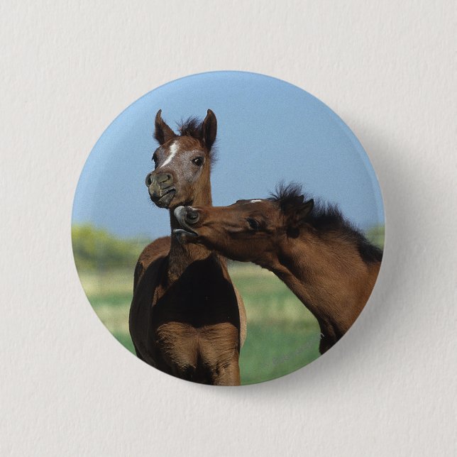 Badge Rond 5 Cm Poulains jouant 2 (Devant)
