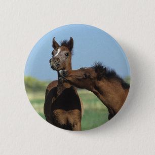 Badge Rond 5 Cm Poulains jouant 2