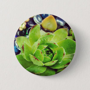 Badge Rond 5 Cm Poules et poules