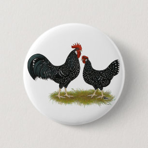 Badge Rond 5 Cm Poulets d'Ancône