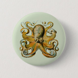 Badge Rond 5 Cm poulpe