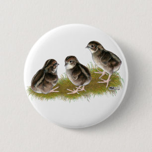 Badge Rond 5 Cm Poussins de caille Coturnix