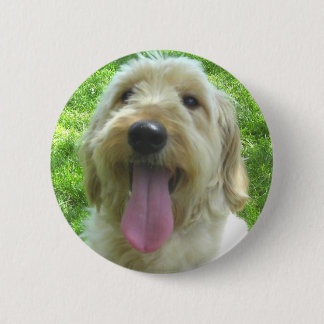 Badge Rond 5 Cm Produits de Goldendoodle