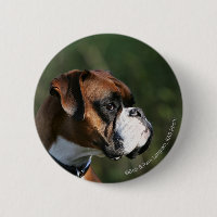 Profil côté chien de la boîte