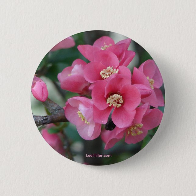 Badge Rond 5 Cm Province à fleurs rose du printemps (Devant)