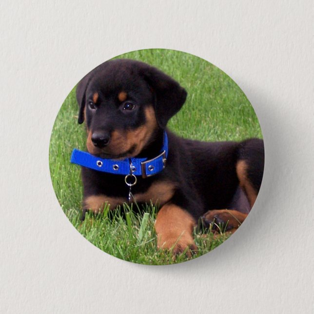Badge Rond 5 Cm pubs de rottweiler (Devant)