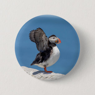 Badge Rond 5 Cm Puffin de l'Atlantique à Machias, ME