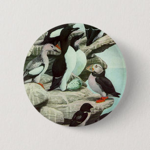 Badge Rond 5 Cm Puffins vintages et oiseaux aquatiques de Louis Fu