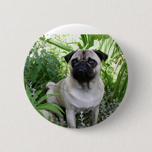 Badge Rond 5 Cm pug assis