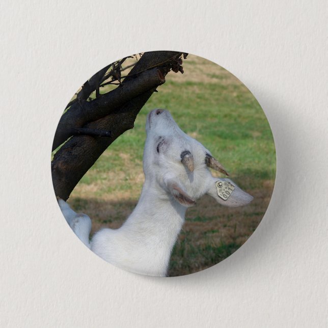 Badge Rond 5 Cm Puis-Je Monter Cet Arbre ? (Devant)