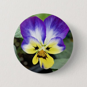 Badge Rond 5 Cm Purple Pansy
