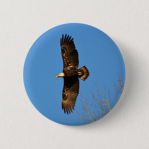 Badge Rond 5 Cm Pygargue à tête blanche planant au-dessus des arbr