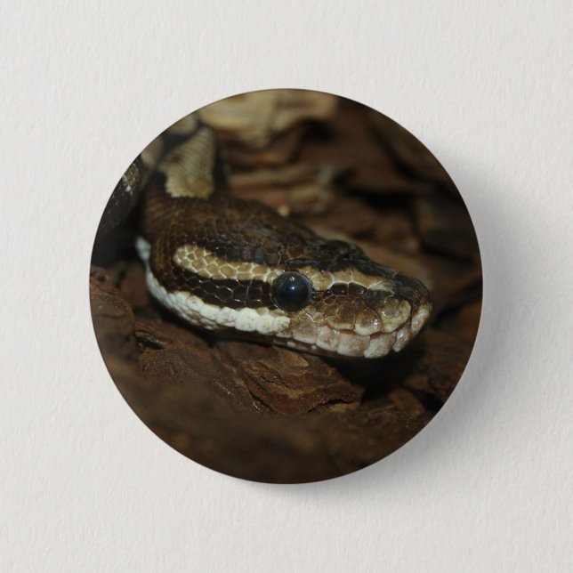 Badge Rond 5 Cm Python Brown (Devant)