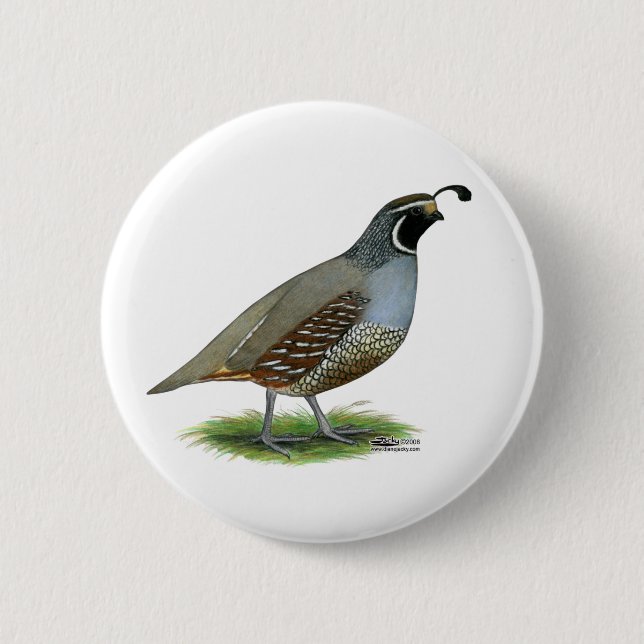 Badge Rond 5 Cm Quail de la Californie (Devant)
