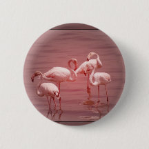 Quatre Flamants roses de flocage