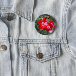 Badge Rond 5 Cm Quatrième d'arbuste de juillet