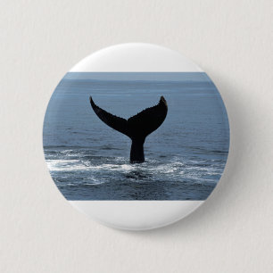 Badge Rond 5 Cm Queue de baleine à bosses