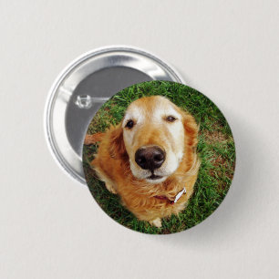 Badge Rond 5 Cm Qui est un bon garçon