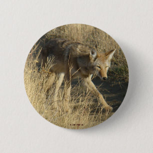 Badge Rond 5 Cm R14 Coyote Walking