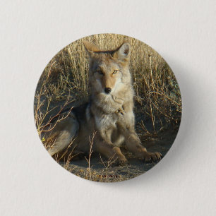 Badge Rond 5 Cm R15 Coyote Couché