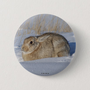 Badge Rond 5 Cm R5 Lapin de coton en neige