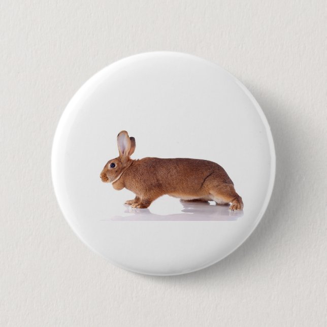 Badge Rond 5 Cm rabbit (Devant)