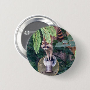 Badge Rond 5 Cm Raccoon raid l'éleveur d'oiseaux