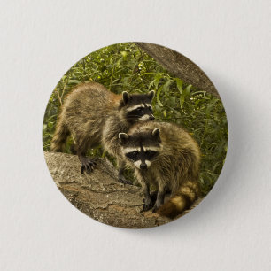 Badge Rond 5 Cm Raccoons