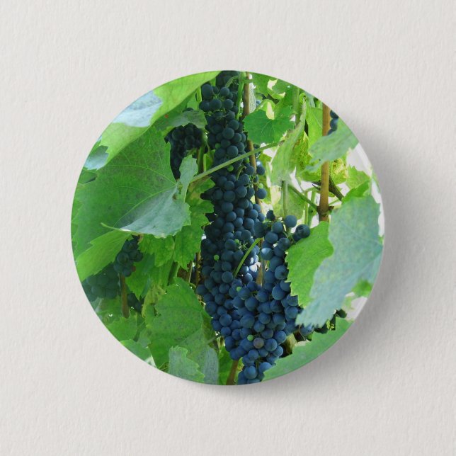 Badge Rond 5 Cm Raisins (Devant)