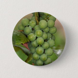 Badge Rond 5 Cm Raisins de Sénèque