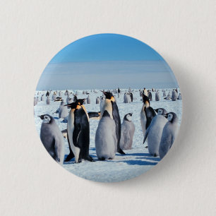 Badge Rond 5 Cm Rassemblement de pingouin