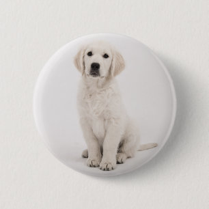 Badge Rond 5 Cm récupérateur doré