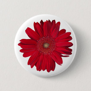 Badge Rond 5 Cm Red Gerber Daisy Close Up Photographie