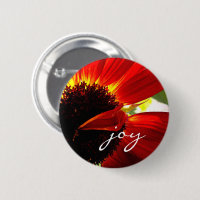 Red Gerbera Daisy Photo Joie Script Bold Modern
