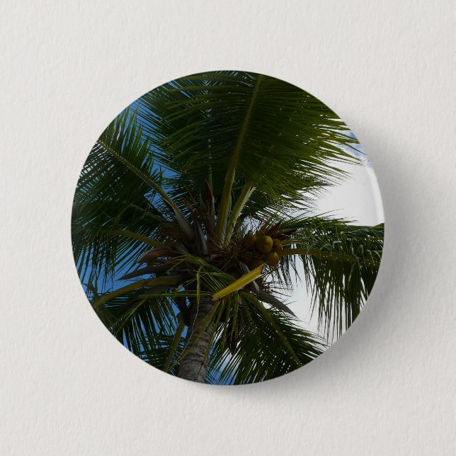 Badge Rond 5 Cm Regard sur le palmier à coco Nature tropicale (Devant)