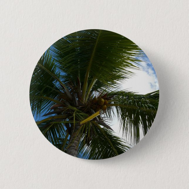 Badge Rond 5 Cm Regard sur le palmier à coco Nature tropicale (Devant)