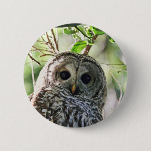 Badge Rond 5 Cm Regarder de hibou barré