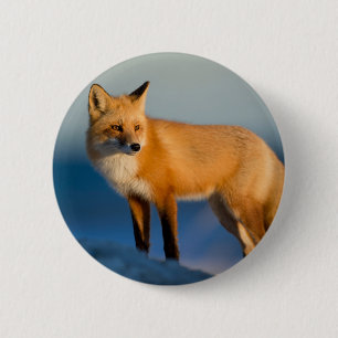 Badge Rond 5 Cm Renard Brown