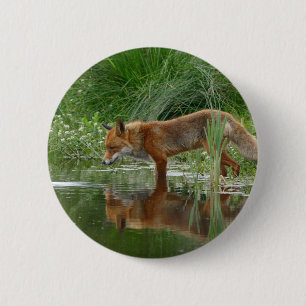Badge Rond 5 Cm Renard dans l'étang